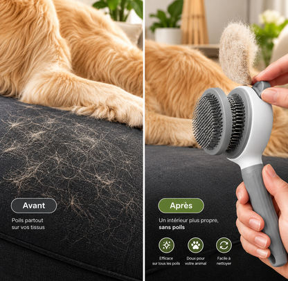 Brosse Auto-Nettoyante Poils