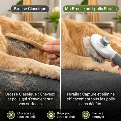 Brosse Auto-Nettoyante Poils